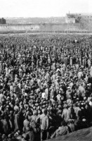 Уманская яма