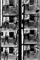 Аккордеонист